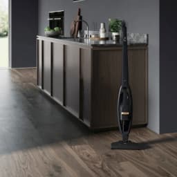 جارو شارژی عصایی آ ا گ مدل QX6-1-42GG