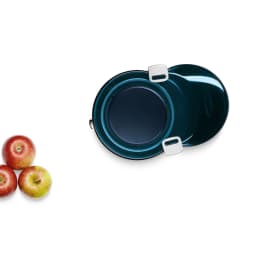 آبمیوه گیری بوش مدل MEA3500